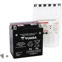 Yuasa YTX20CH-BS Maintenance Free 12V Automotive Batteries, Top Post