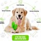 thumbnail image 2 of Juguetes para masticar para perros para masticar intensamente Cepillo de dientes para mascotas Palillo para limpieza bucal Juguete para limpiar los dientes con forma de cactus para perros pequeños, 2 of 5