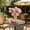 Pink, variant on Xheghe Elegant 3-Head Faux Peony Flower Arrangement for Home Décor, Living Room, and Shop Window Display - Realistic Low-Maintenance Artificial Floral Decoration