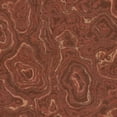 thumbnail image 2 of Milliken Imagine Figurative Area Rug LASTING BEAUTY RED OCHRE Lasting Beauty Red Ochre 3' 10" x  5' 4" Rectangle, 2 of 2