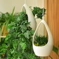 thumbnail image 1 of Maceta Colgante, Plástico Blanco, Contenedor de Plantas, Cesta, Portamacetas, con Gancho Ajustable, 29x18x18cm, para Suculentas, Cactus, Hierbas, Flores, Uso Interior y Exterior, 1 of 6