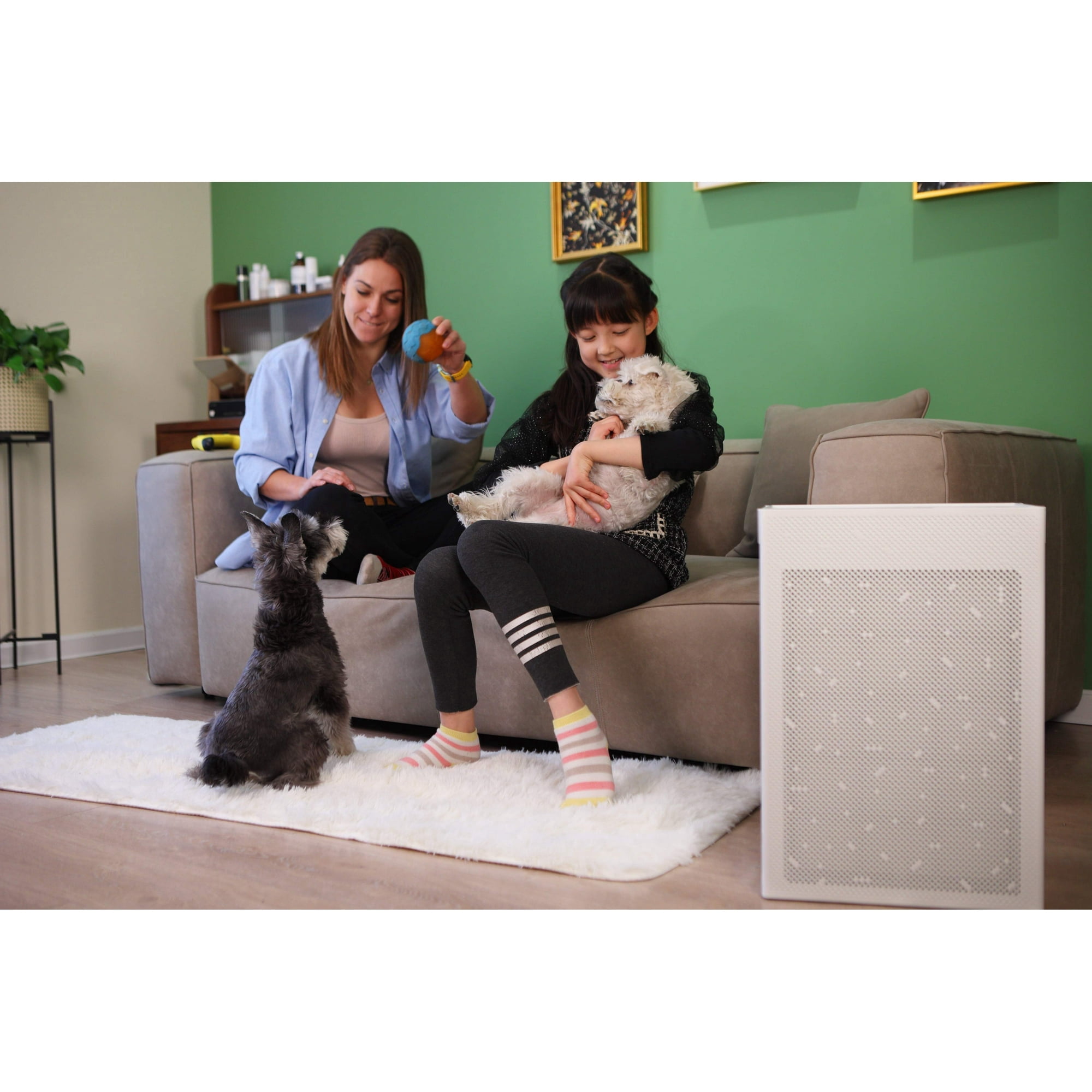 Smart Air SA600 Purifier with Dual H13 HEPA 99.97 Carbon Filters for 1200 sq ft