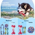 thumbnail image 3 of Juguetes Indestructibles Xl Para Masticadores Agresivos Xtellar multicolor, 3 of 4