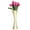 Natural, variant on 27 x 8 in. Dia. Decorative Modern Bamboo Display Floor Vase, Natural