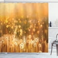 thumbnail image 1 of Ambesonne Dandelion Shower Curtain, Vintage Spring Sunset, 69"Wx75"L, Pale Orange Green Brown, 1 of 3