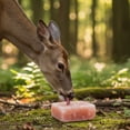 thumbnail image 2 of Pink Salt Wall Himalayan Salt Blocks for Deer, Horses, Elk, and Moose, pack of 2, 2 of 8
