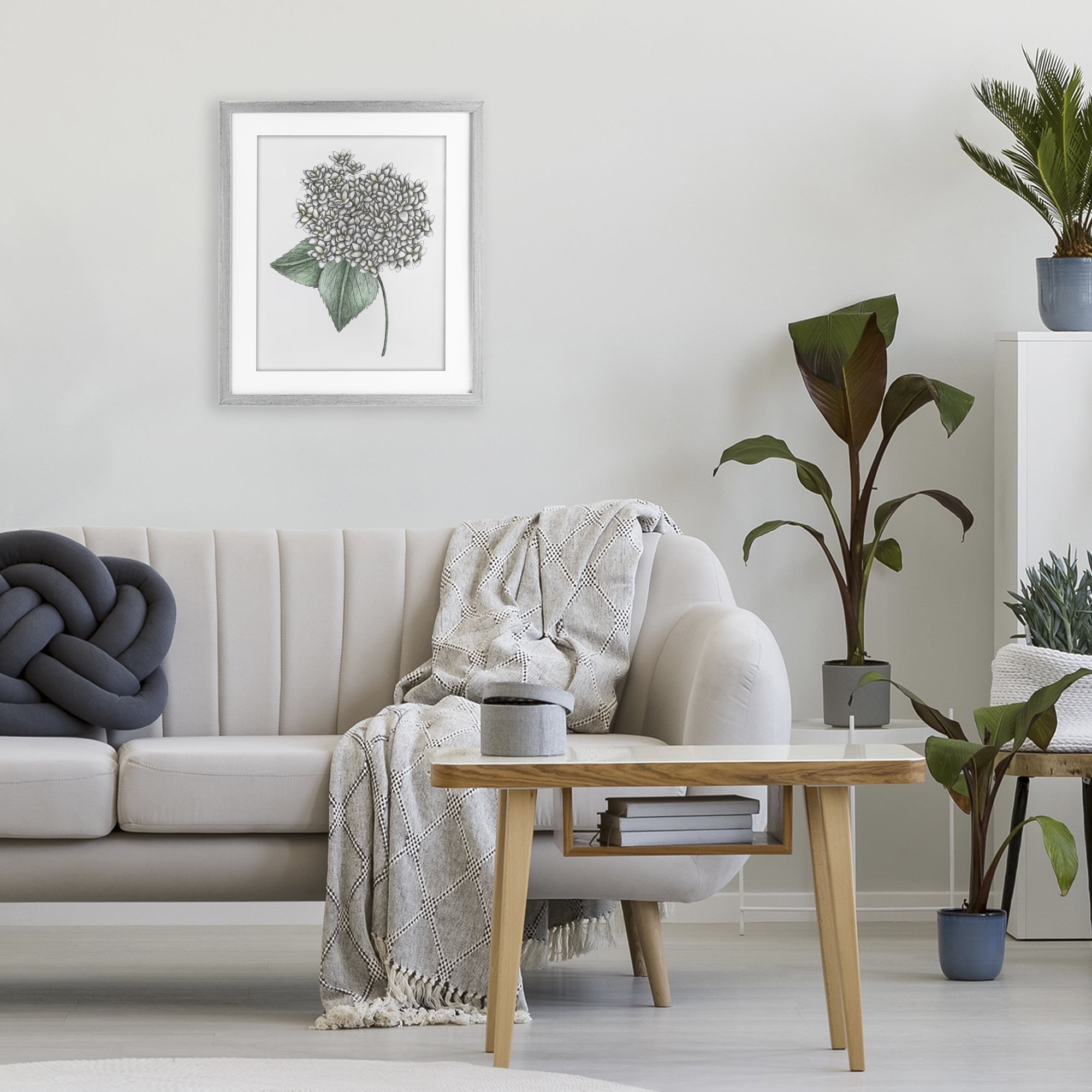 White Hydrangea Sketch Blossom Gray Framed Print Under Glass, design by Cecilia Battaini
