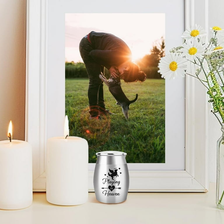 1Pc 1.57 Inch Mini Stainless Steel Cremation Urn Small Urn for Dog Ashes Angel Dog Cremation Keepsake Urns Memorial Ashes Holder with Velvet Pouches and Text Design Playing in Heaven Walmart