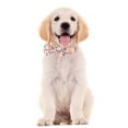 thumbnail image 2 of Personalized Dog Collars With Bow Tie Cotton Girls Dog Collar With Metal Buckle Adjustable Puppy Collars For 3 Adjustable Sizes Small Medium Large Dog As Pet Gift L, 2 of 6