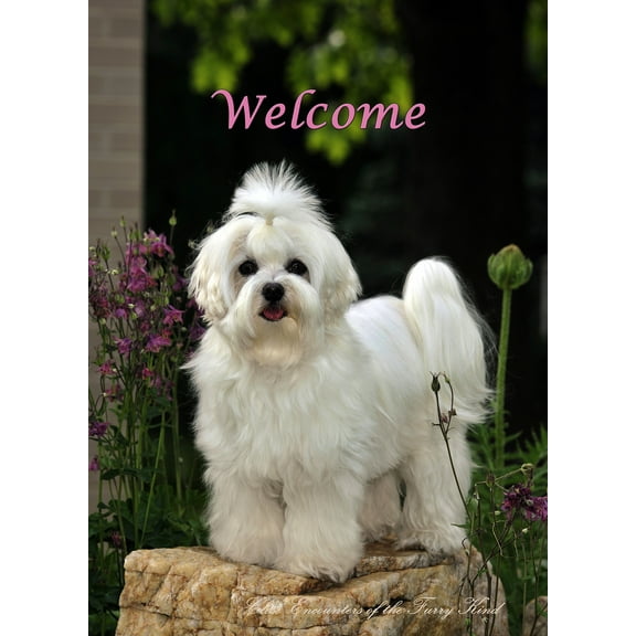 Maltese - Best of Breed CEFK Welcome Photo House Flag