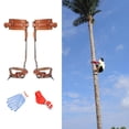 thumbnail image 1 of Seguridad Escalada de árboles Cinturón de material cuero Herramienta de espolón de material acero inoxidable Adecuado para registro altitud Recolección Engranajes de cuero completo 2 DYNWAVEMX Espiga trepadora de árboles, 1 of 8