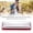 Purplish Red, variant on Yajisi C Major 10 Hole 20 Tone Diatonic Harmonica, Beginner Woodwind Musical Instrument with Case, Purplish Red (4.1 inches / 10.3 cm)