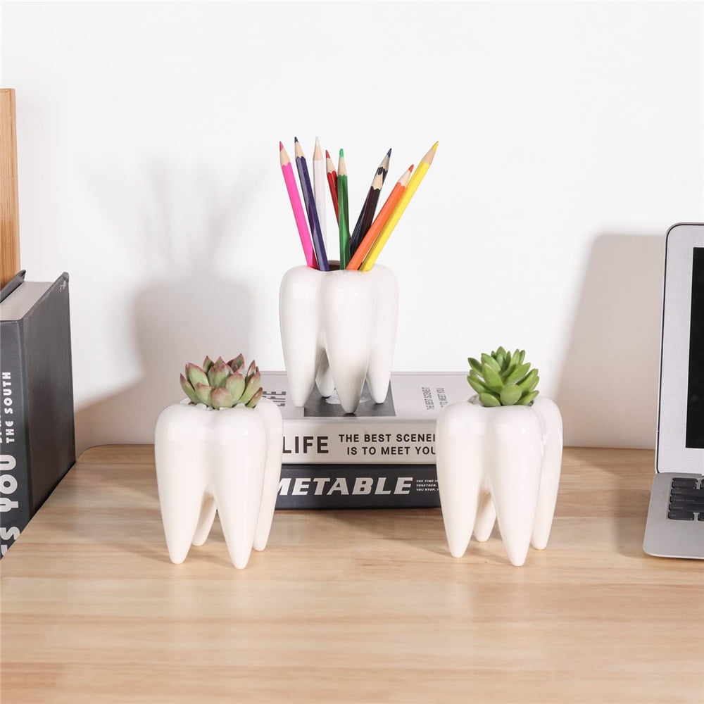 2pcs Funny Tooth Pots Succulent Planter Flowerpot Decor for Home Office Desk Toothbrush Pen Holder Youfui Home Decor Pot