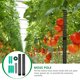 thumbnail image 3 of 1 conjunto de planta de planta de planta de planta de planta de planta de planta de musgo para plantas en macetas, 3 of 5