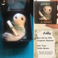 thumbnail image 4 of 2023 Nuevo Lindo Fantasma De Felpa De Halloween Con Un Pequeño Pergamino , Premium Mini Fieltro Caja De Grande Para Los Amantes De La Decoración (1PCS), 4 of 4