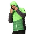 thumbnail image 4 of Regatta Veste Rembourrée pour Hommes Harrock II, 4 of 5
