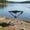 Black, variant on Folding Camping Stool Portable Telescoping Camp Seat Heavy Duty Outdoor Folding Stool, Compact Travel Seat With Strong Support Design, for Camping Fishing Hiking Picnic