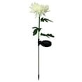 thumbnail image 1 of Solar Powered Chrysanthemum Light LED Outdoor Courtyard Simulation Flower And Grass Flat Light, 1 of 8