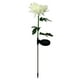 thumbnail image 1 of Xihbxyly Lámpara Solar de Crisantemo, Led para Decoración de Jardín Exterior, Diseño Duradero de Acero Inoxidable, Recargable con Energía Solar, Iluminación Nocturna Brillante, Ideal para Jardín, Cam, 1 of 1