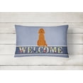 thumbnail image 2 of Carolines Treasures BB5645PW1216 Irish Setter Welcome Canvas Fabric Decorative Pillow, 12H x16W, multicolor, 2 of 3