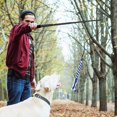 thumbnail image 3 of UEETEK Retractable Dog Interactive Stick Extendable Flirt Pole Funny Chasing Tail Teaser and Exerciser for Pets (Black, Size L), 3 of 4
