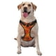 thumbnail image 1 of Fotbe Sunflower4 Arnés para Perro con Estampado –Chaleco Ajustable Acolchado con Asa de Control para Perros Grandes-Medium, 1 of 6