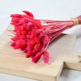thumbnail image 2 of Coofit Dry Flower Branch DIY 24PCS Simple Natural Dried Grass Stem Dry Grass Decor, 2 of 8