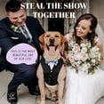thumbnail image 2 of Esmoquin de perro para uso diario, disfraz de boda con pajarita para perros, 2 of 6