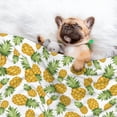 thumbnail image 3 of Naloa Pineapple Dog Blanket, 3 Sizes Cat Blanket for Indoor Cats Large Medium Small Dog Gifts-Large, 3 of 8