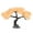 Beauty pine champagn, variant on Life Like Welcoming Pine Aquariums Decors Fishtanks Landscaping Artificial Pine Bonsais for Home Use Decoration