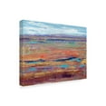 thumbnail image 2 of Trademark Fine Art 'Terra Vista IV' Canvas Art by Tim OToole, 2 of 4