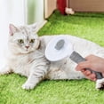 thumbnail image 3 of Cepillo para gatos, cepillo para la capa inferior, cepillo para perros, cepillo para perros, cepillo para gatos, corto, 3 of 7