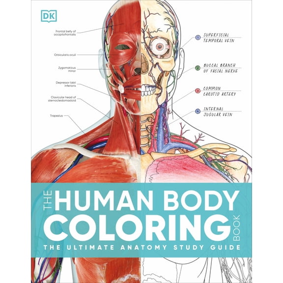 The Human Body Coloring Book: The Ultimate Anatomy Study Guide, Second Edition, 264 pages (Edition 2) (Hardcover)