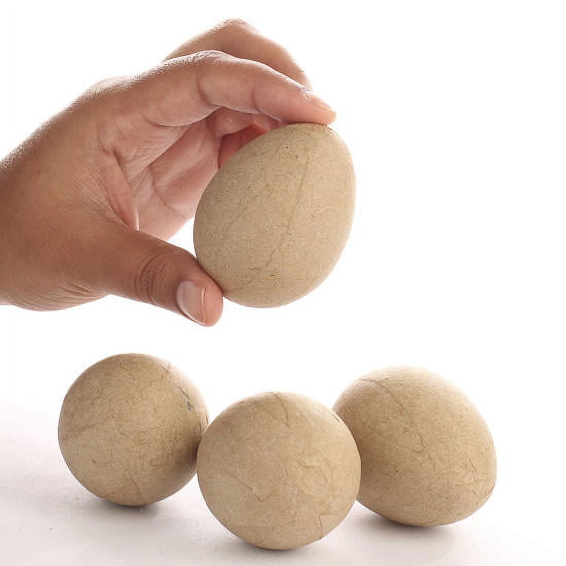 Factory Direct Craft Paper Mache Eggs | 24 Eggs | Ready to Decorate