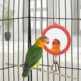 thumbnail image 6 of Pet Bird Mirror with Bell Interactive Parrot Toy Bird Cage Mirror for Cockatiel Parakeets Canaries, 6 of 7