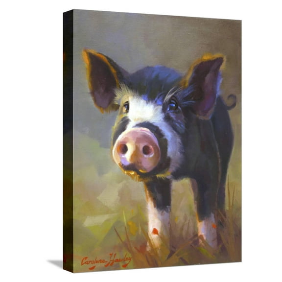 Art.com Jasmine Stretched Canvas Print Wall Art by Carolyne Hawley, 12" x 16"
