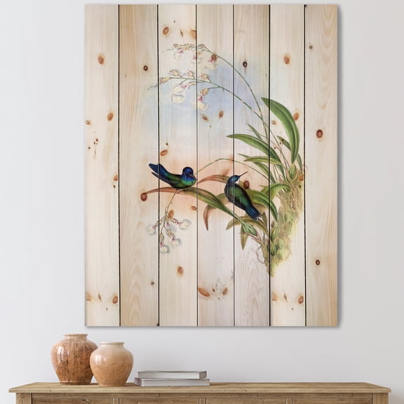 Designart 'Ancient Hummingbird III' Traditional Print on Natural Pine Wood