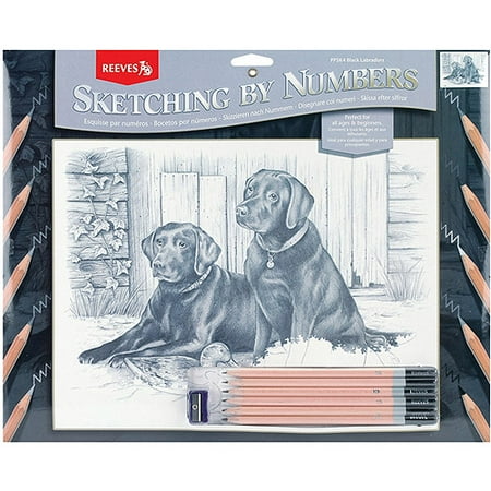 Sketching By Number Kit, 12