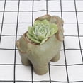 thumbnail image 3 of VONKY 1/2/3 4x Breathable And Luminous Succulent Pots For Plants Water Saving And Drought as shown 1 Pc, 3 of 6