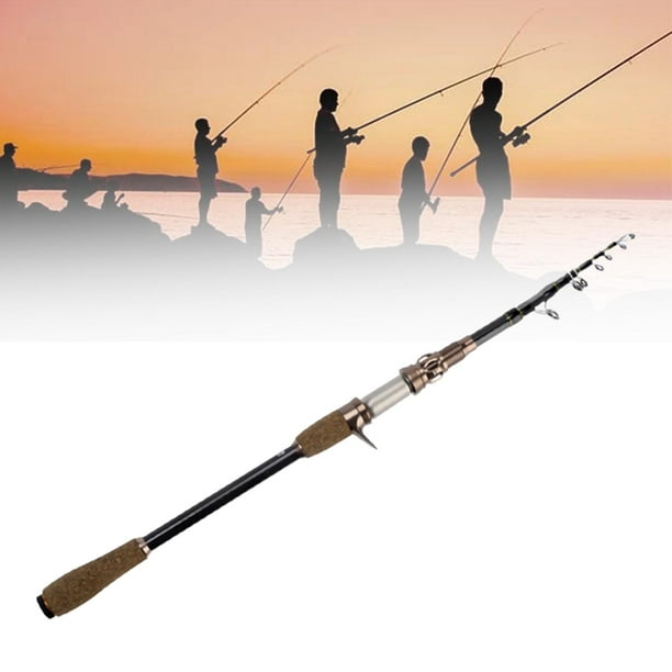 Travel Fishing Rod, Surf Casting Rod High Carbon Lightweight Portable Fishing  Pole Fishing Rod for Trout, Bass Trout, Walleye, Salmon, Pike 2.1m 
