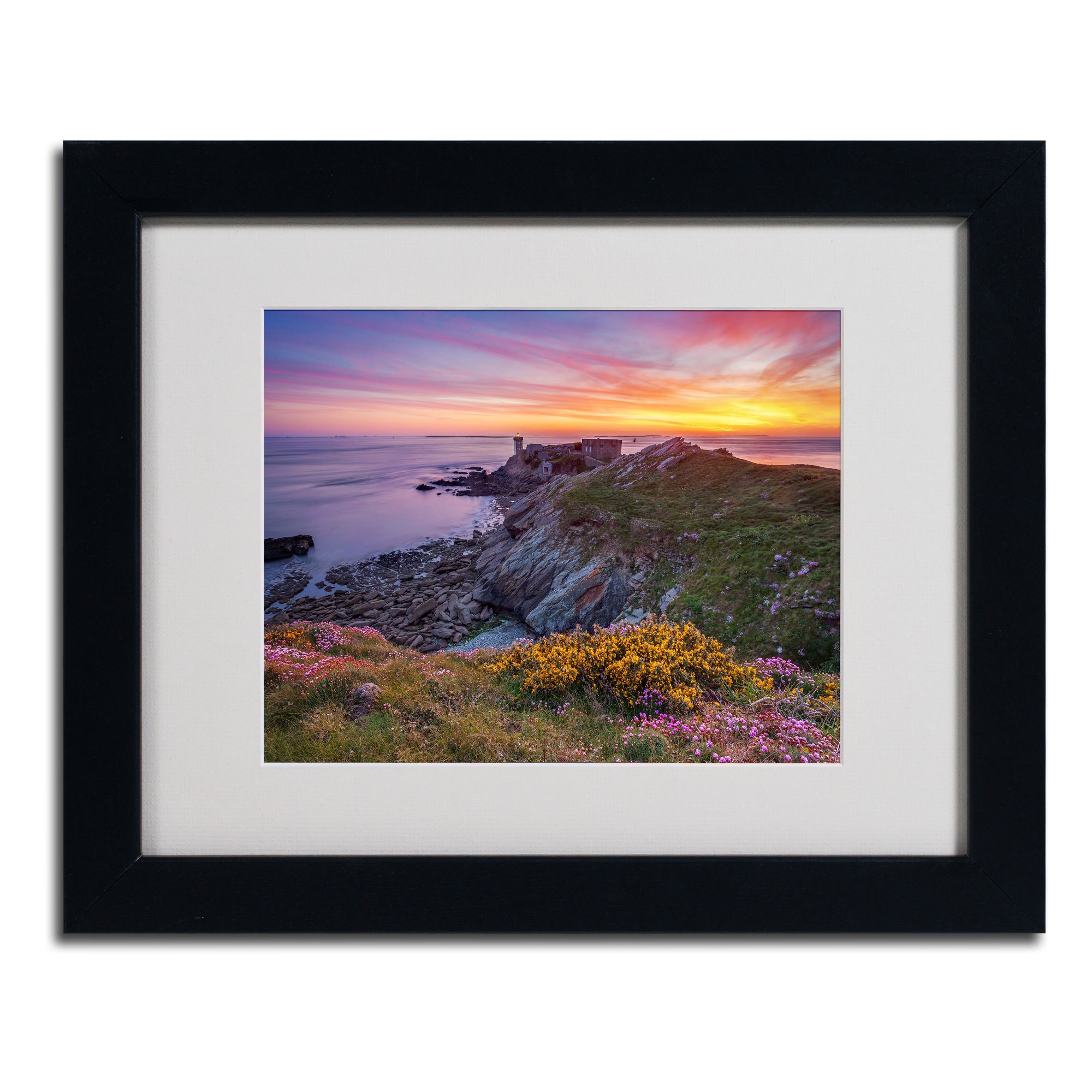 Trademark Fine Art "Brittany In Flowers" Framed Canvas Art by Mathieu Rivrin