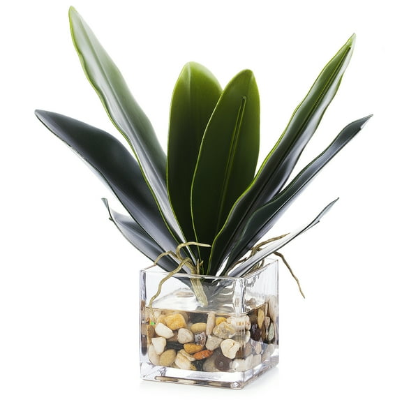 Enova Home Artificial Orchid Leaves Faux Plant Arrangement in Cube Glass Vase with River Stone for Home Garden Office Decór