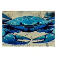 thumbnail image 2 of Pratyus 4pcs Crab Bioluminescence Indoor Outdoor Table Linen Placemat Set for Birthday Parties, Christmas, Restaurants, Buffets, Home Decoration 18x12in, 2 of 8