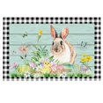thumbnail image 1 of Hearth & Gear Hot Easter Floor Mats Home Entry Mats Holiday Decorative Door Mats Carpet Five Comfiest Blanket Large Couch Blanket Thin Blankets Soft Fuzzy Throw Home Throw Blanket Big Rugs for Living, 1 of 5