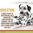 thumbnail image 3 of Licks Pill-Free Dog Digestion - Dog Gut Health and Gas Relief - Bloating Relief and Digestion Supplement for Dogs - Dog Health Supplies - Gel Packets - 10 Use, 3 of 7