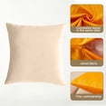 thumbnail image 3 of ENTASSER Velvet pillow cover for sofa, decorative solid square cushion cover for bedroom car.champagne40*40cm, 3 of 5