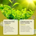 thumbnail image 3 of MoonSpry Green Plant Root Solution Horticultural Flower Plant Roots Absorb Growth Nitrogen And Potassium Fertilizer Nutrient Solution, 3 of 5