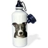3dRose American Pit Bull Terrier Puppy, Sports Water Bottle, 21oz