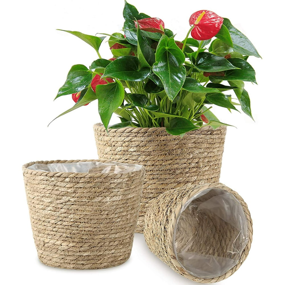 Woven Seagrass Plant Basket Wicker Belly Basket Planter Woven Seagrass Plant Basket Wicker Belly Basket Planter