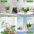 thumbnail image 6 of Plant Pots Indoor 7/6.5/6/5.5/5 Inch Self Watering Planters for Indoor Plants with Drainage Hole, Plastic Flower Pots for Succulents, African Violet (Green), 6 of 7